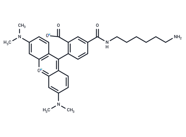 TAMRA amine, 5-isomer