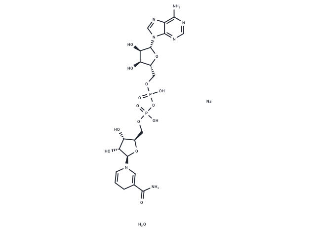 NADH disodium hydrate