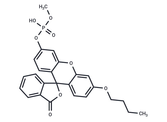 O-Methyl-O-(N-butylfluorescein)phosphate