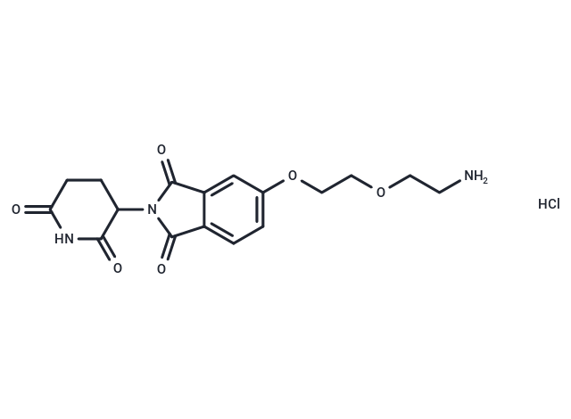 Thalidomide-5-PEG2-NH2 hydrochloride