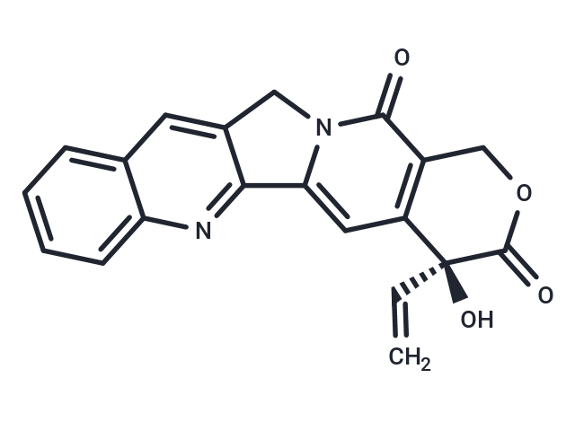 (20S)-18,19-Dehydrocamptothecin