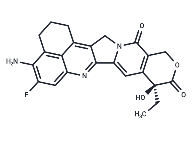 Exatecan analogue 1