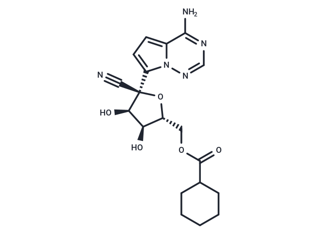 SHEN26