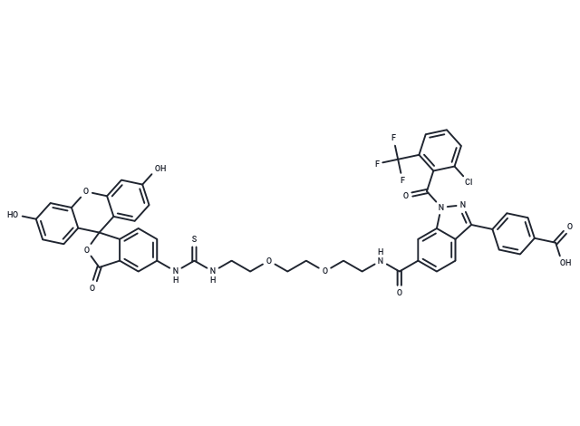 RORγ allosteric probe-1