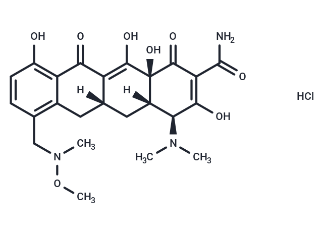 Sarecycline hydrochloride