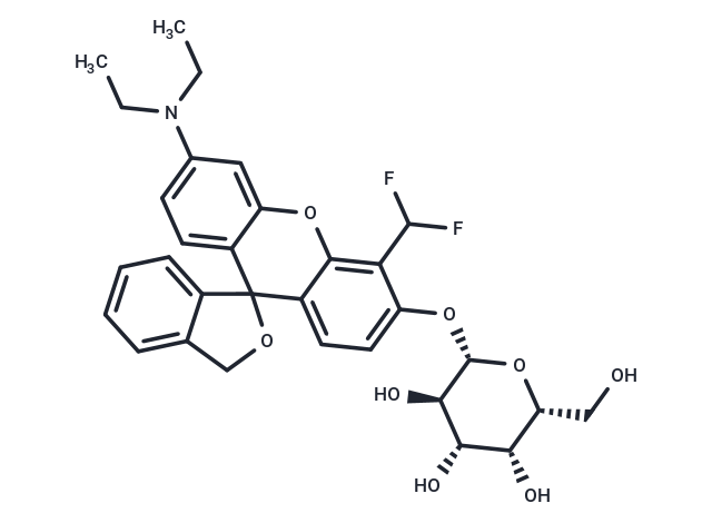 SPiDER-βGal-2