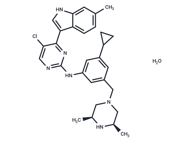 Tuspetinib hydrate