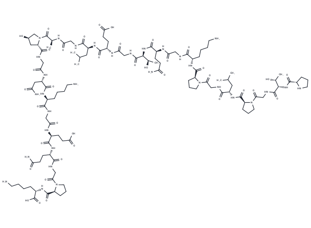 Collagen Type II Fragment