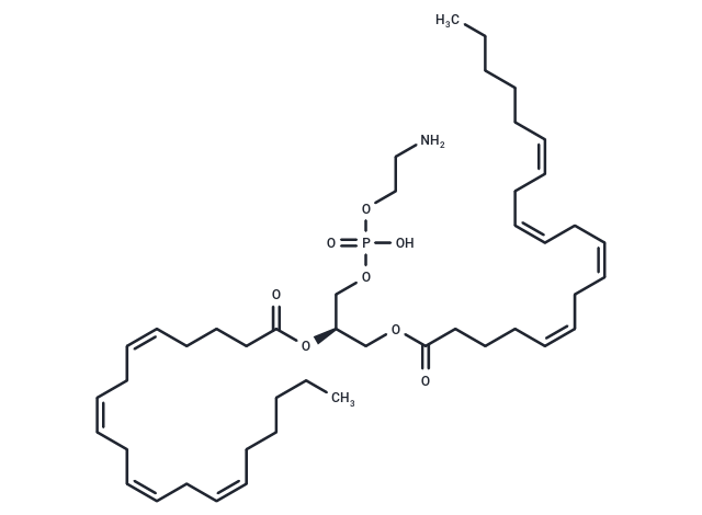 1,2-Diarachidonoyl-sn-glycero-3-phosphoethanolamine