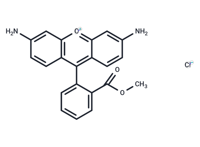 Rhodamine 123