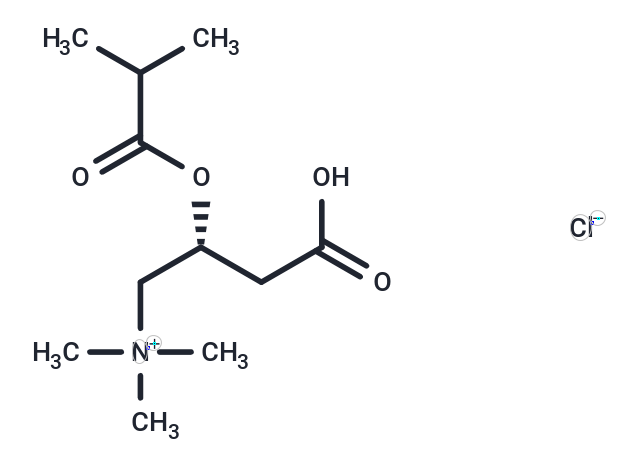 Isobutyryl-L-carnitine chloride