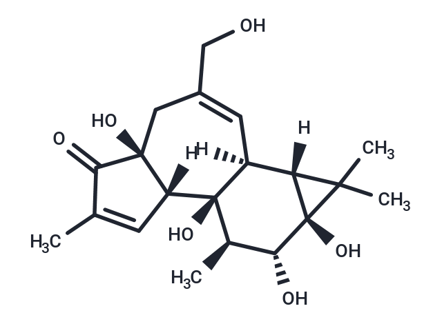 4α-Phorbol