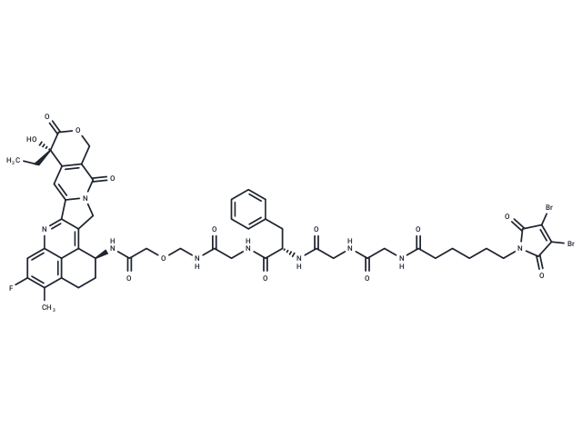 DBM-GGFG-NH-O-CO-Exatecan