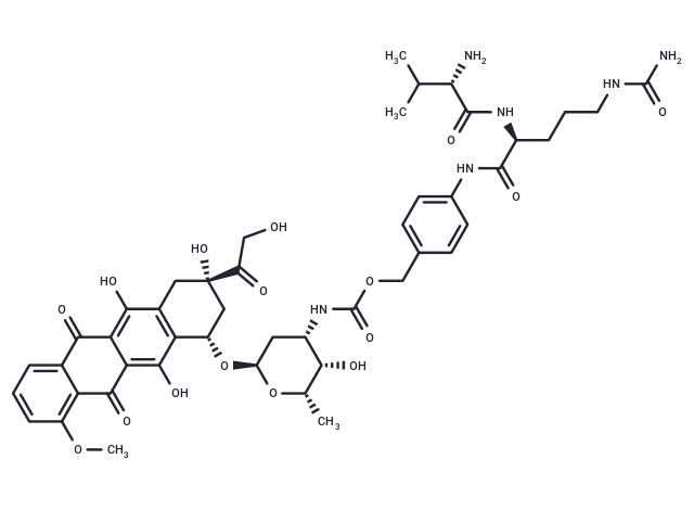 Val-Cit-PABC-DOX