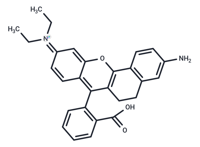 CP-4