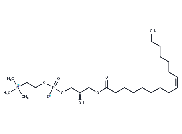 1-Palmitoleoyl-2-hydroxy-sn-glycero-3-PC