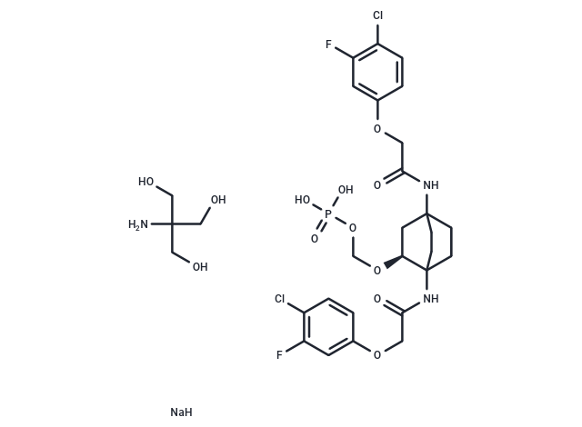 ABBV-CLS-7262