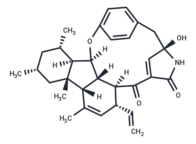 Pyrrocidine A