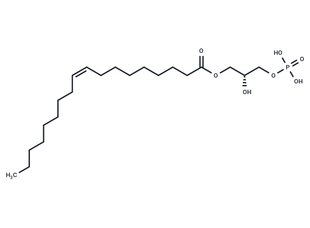 1-Oleoyl Lysophosphatidic Acid