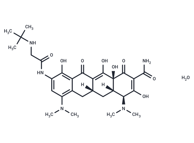 Tigecycline hydrate