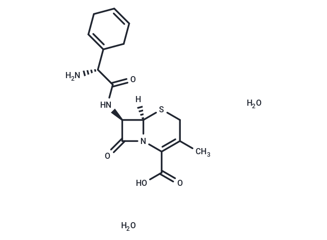 Cephradine dihydrate