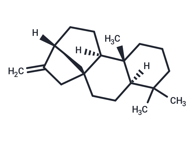 ent-Kaurene