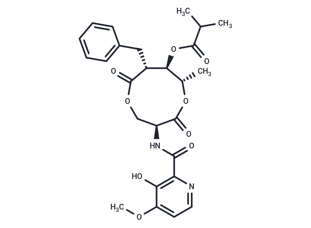 UK-2A