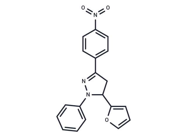 RDR 02308