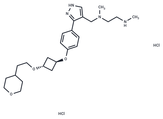 EPZ020411 HCl