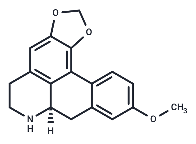 Xylopine