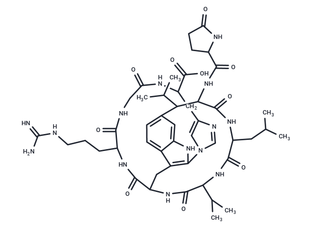 Moroidin