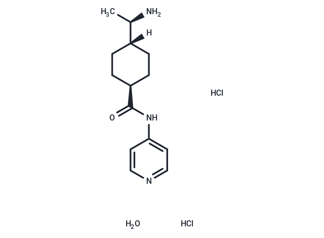 Y27632 HCl hydrate