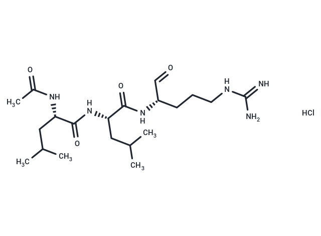 Leupeptin HCl