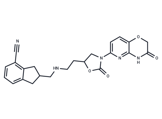 Topoisomerase inhibitor 2