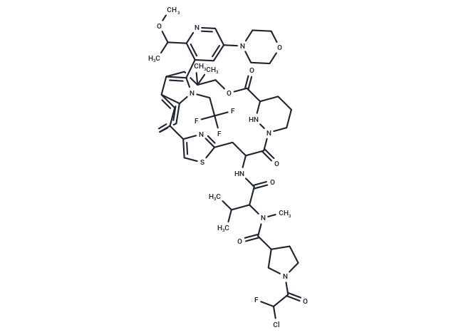 KRAS G12C inhibitor 58