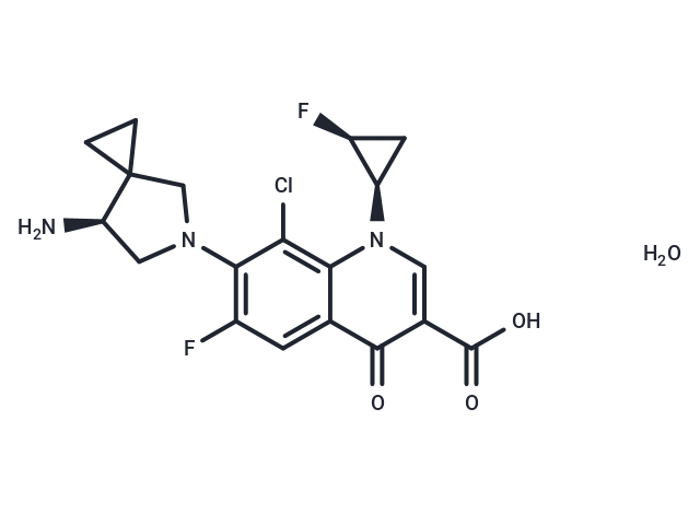 Sitafloxacin monohydrate