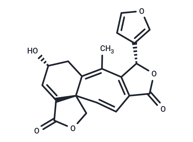 Salviandulin E