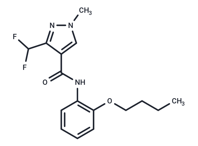 SDH-IN-5