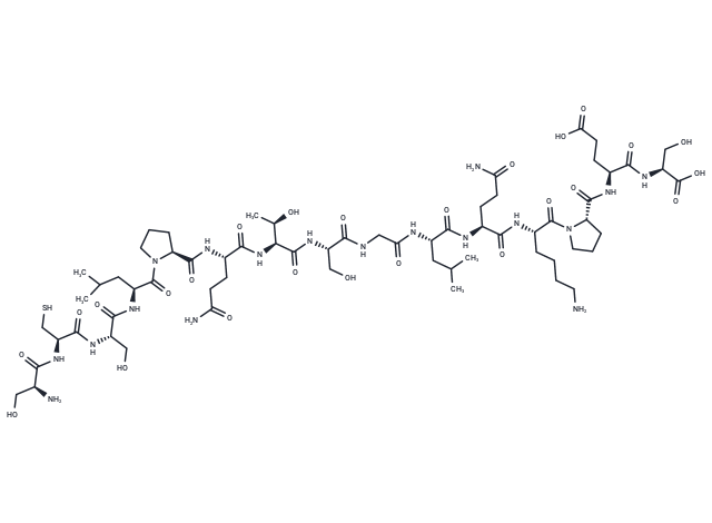 Leptin (116-130)