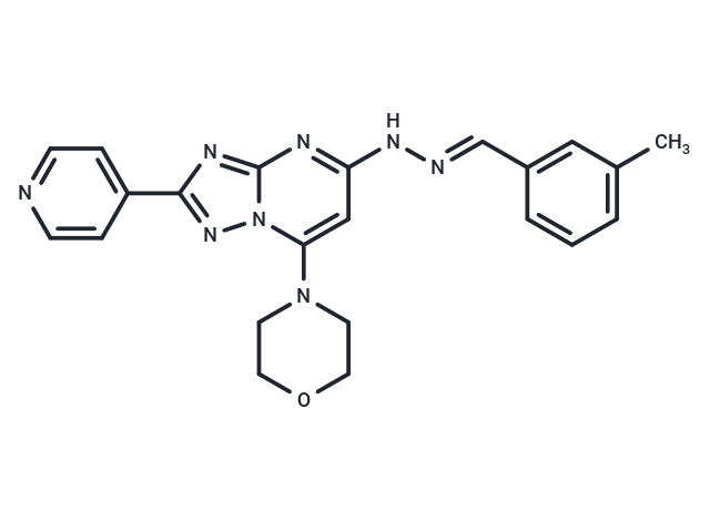 PIKfyve-IN-2