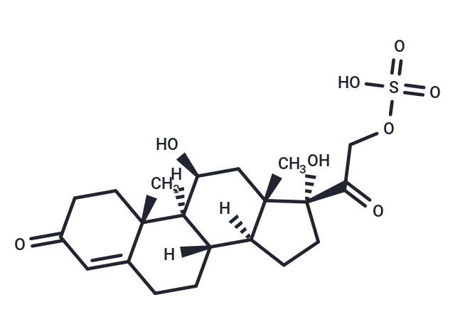 Cortisol sulfate