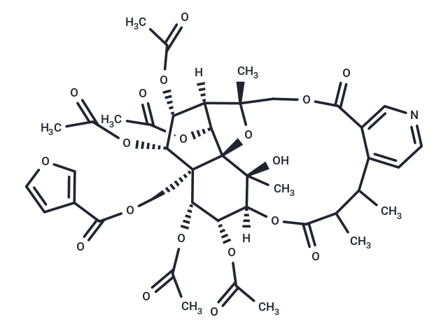 Hypoglaunine D