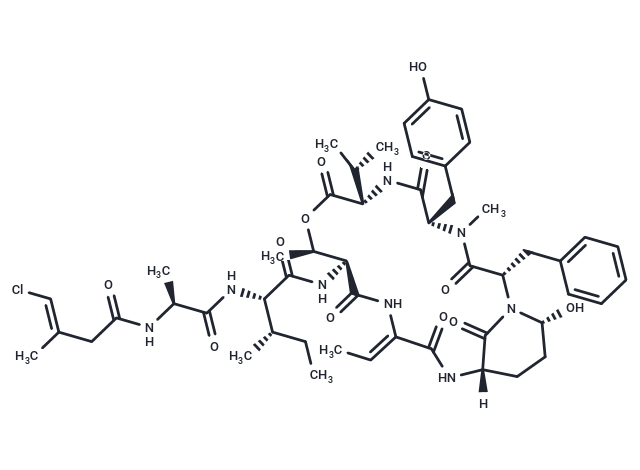 Tutuilamide A