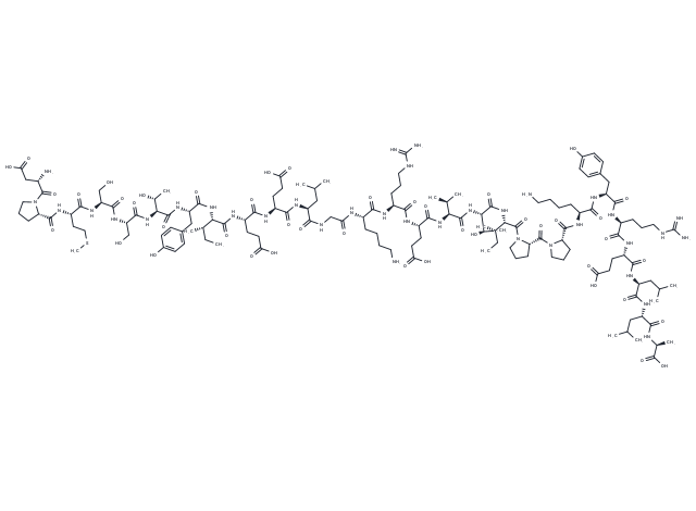 Calpastatin subdomain B