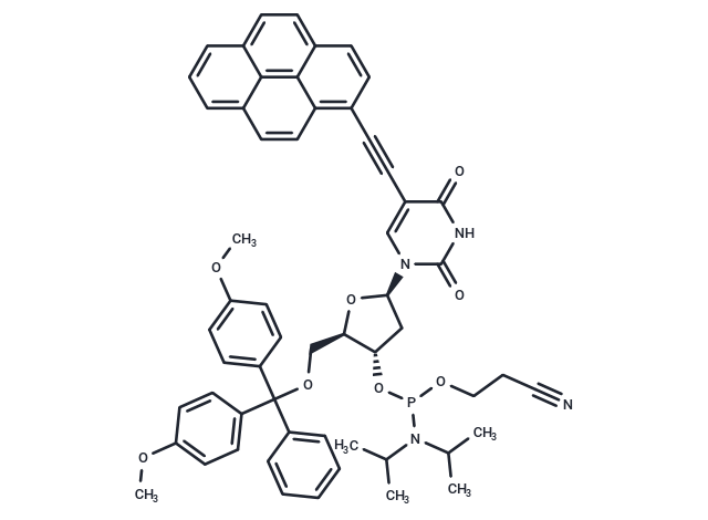 Pyrene phosphoramidite dU