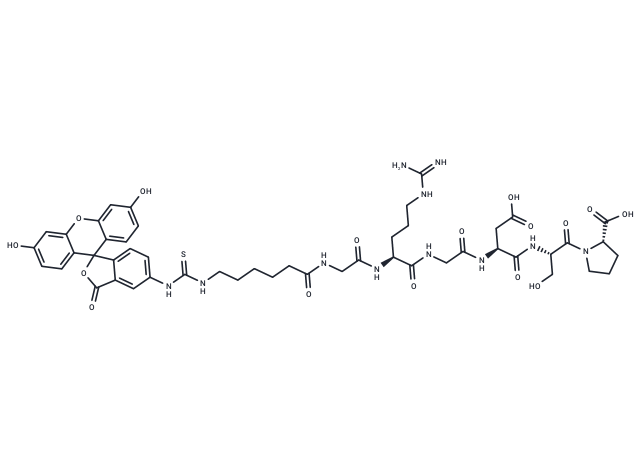 FITC-Ahx-Gly-Arg-Gly-Asp-Ser-Pro