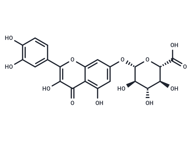 Quercetin 7-glucuronide