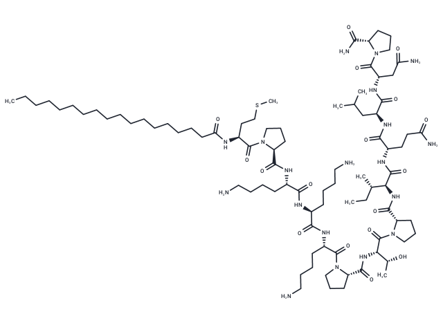 STE-MEK1(13)