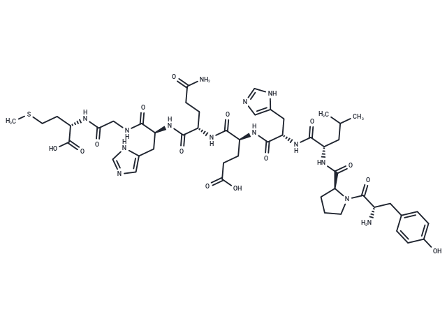 CEF19, Epstein-Barr Virus latent NA-3A (458-466)