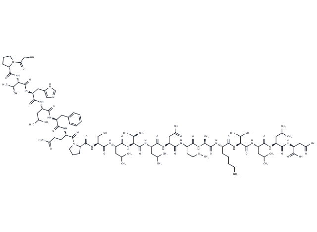 IRBP (1-20), human